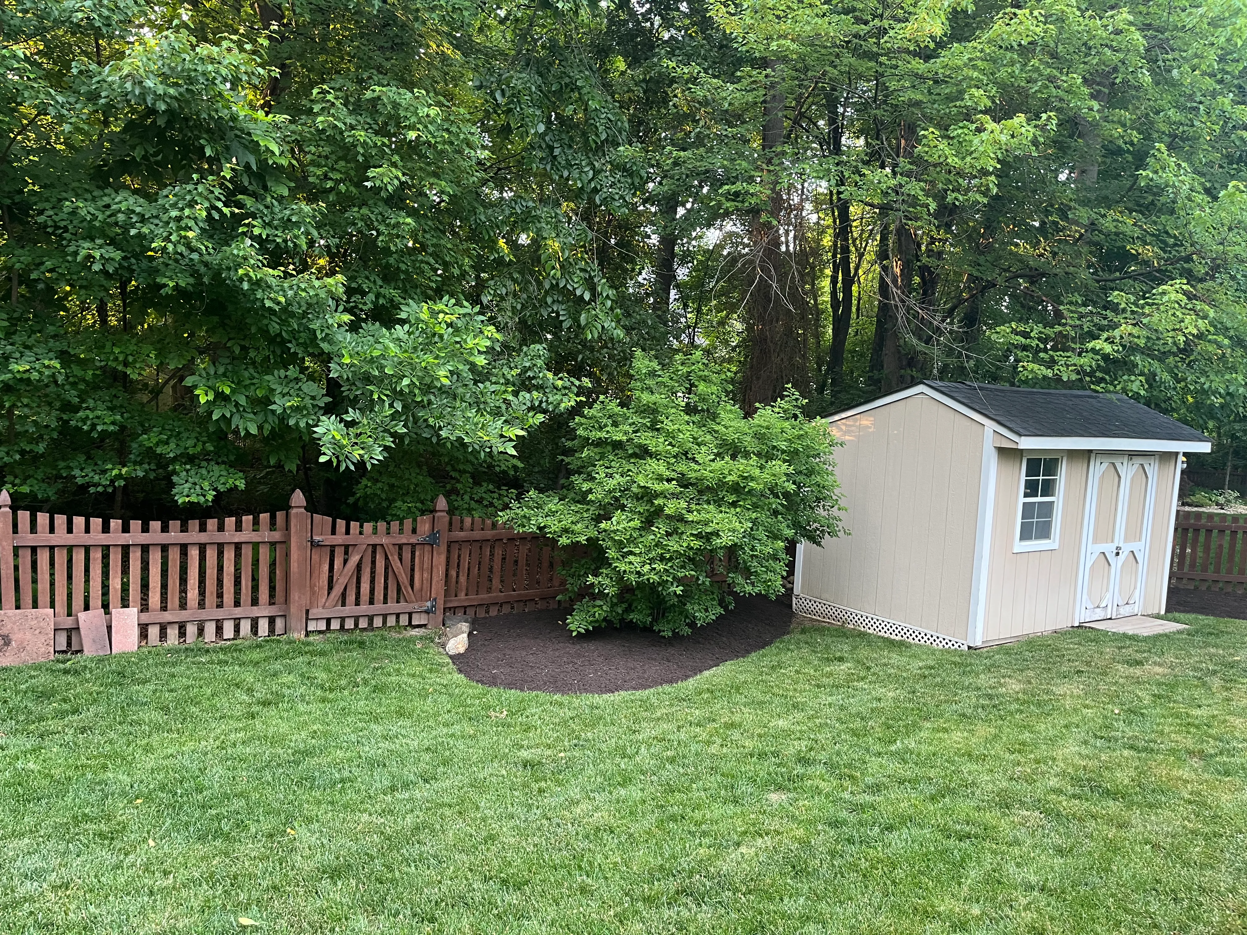 A backyard garden shed beside a freshly mulched shrub bed and a clean lawn edge.