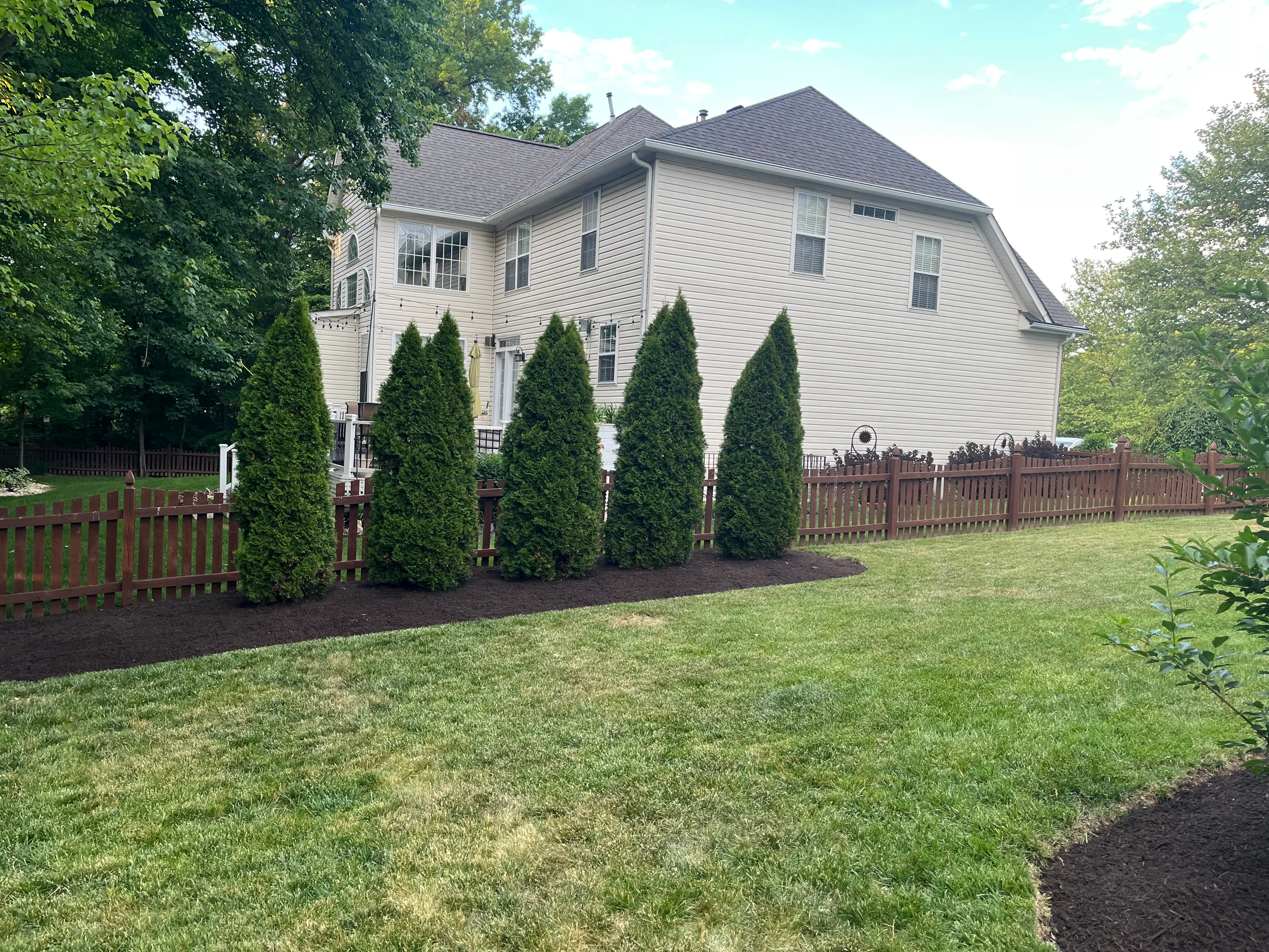 Privacy Screen Planting — Broadlands, VA