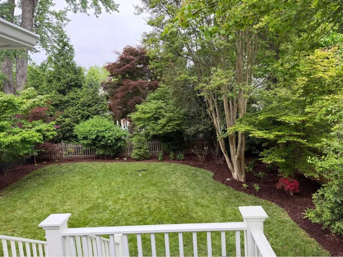 Dense Shade Install + Lawn Renovation — Old Ashburn, VA