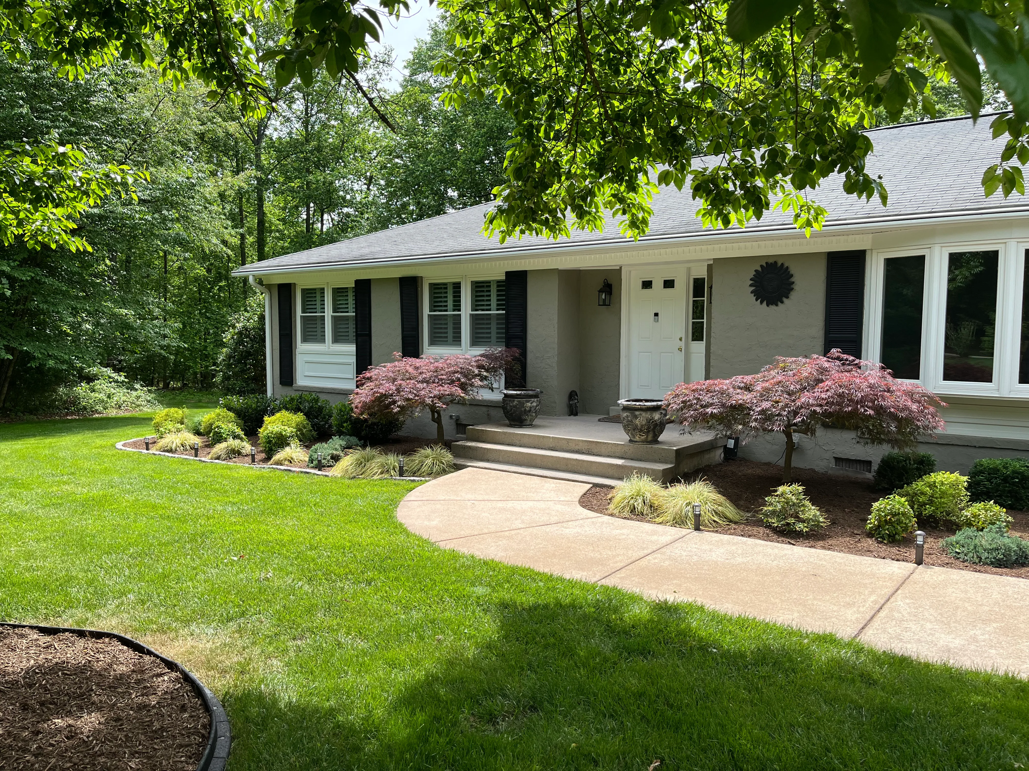 A finished front-yard landscape — curved walkway, layered foundation plantings, Japanese maples, and ornamental grasses.
