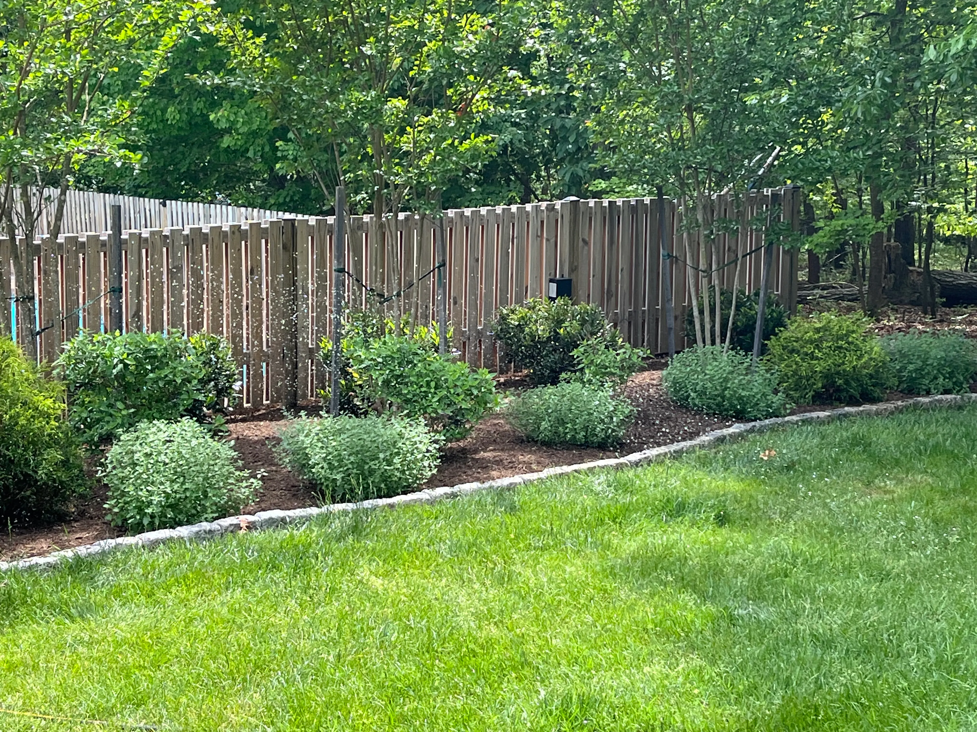 A shrub border freshly planted and mulched along a wooden privacy fence beside a green lawn.