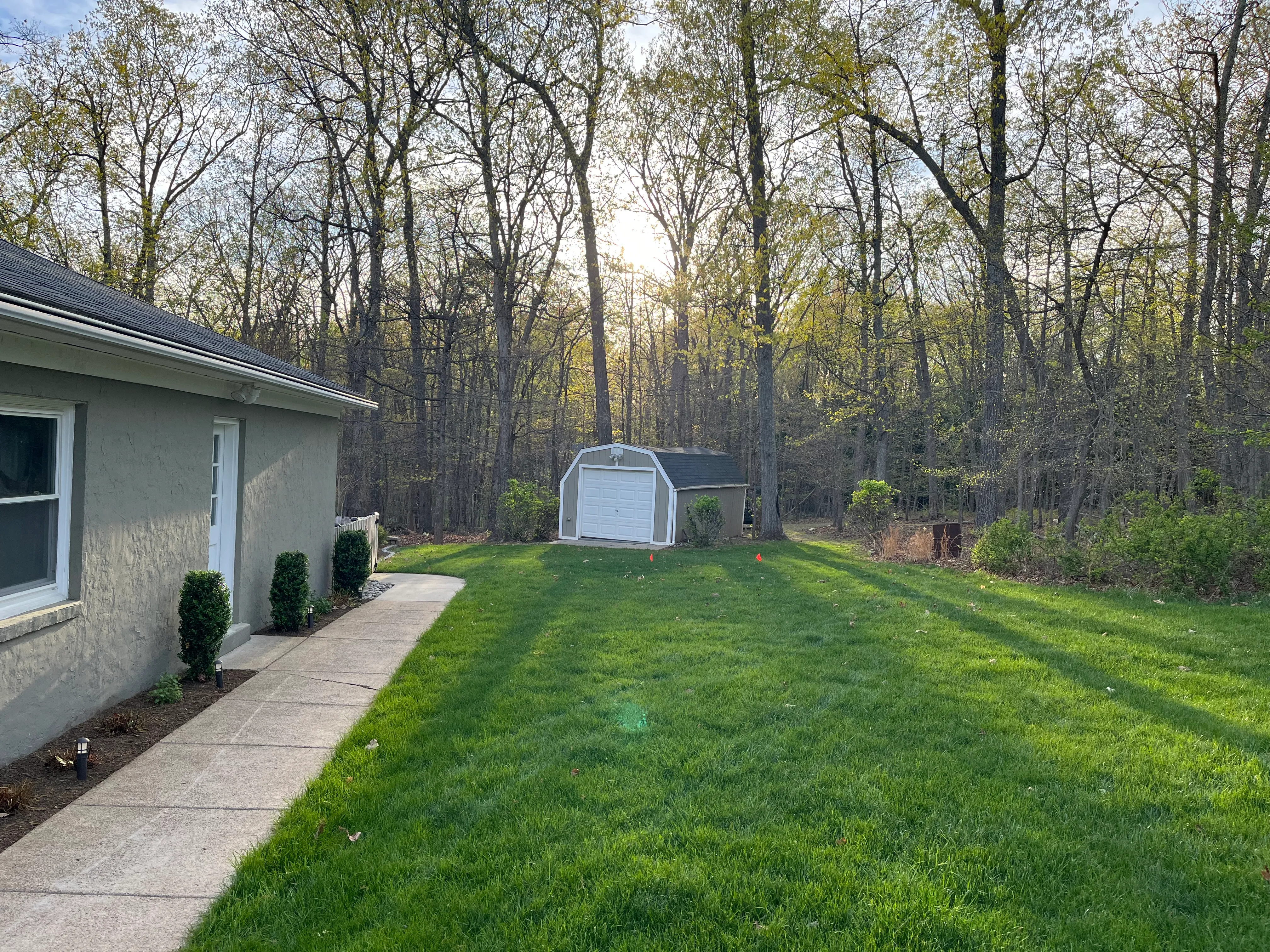 The same lawn one season later — thick, even, and deep green.