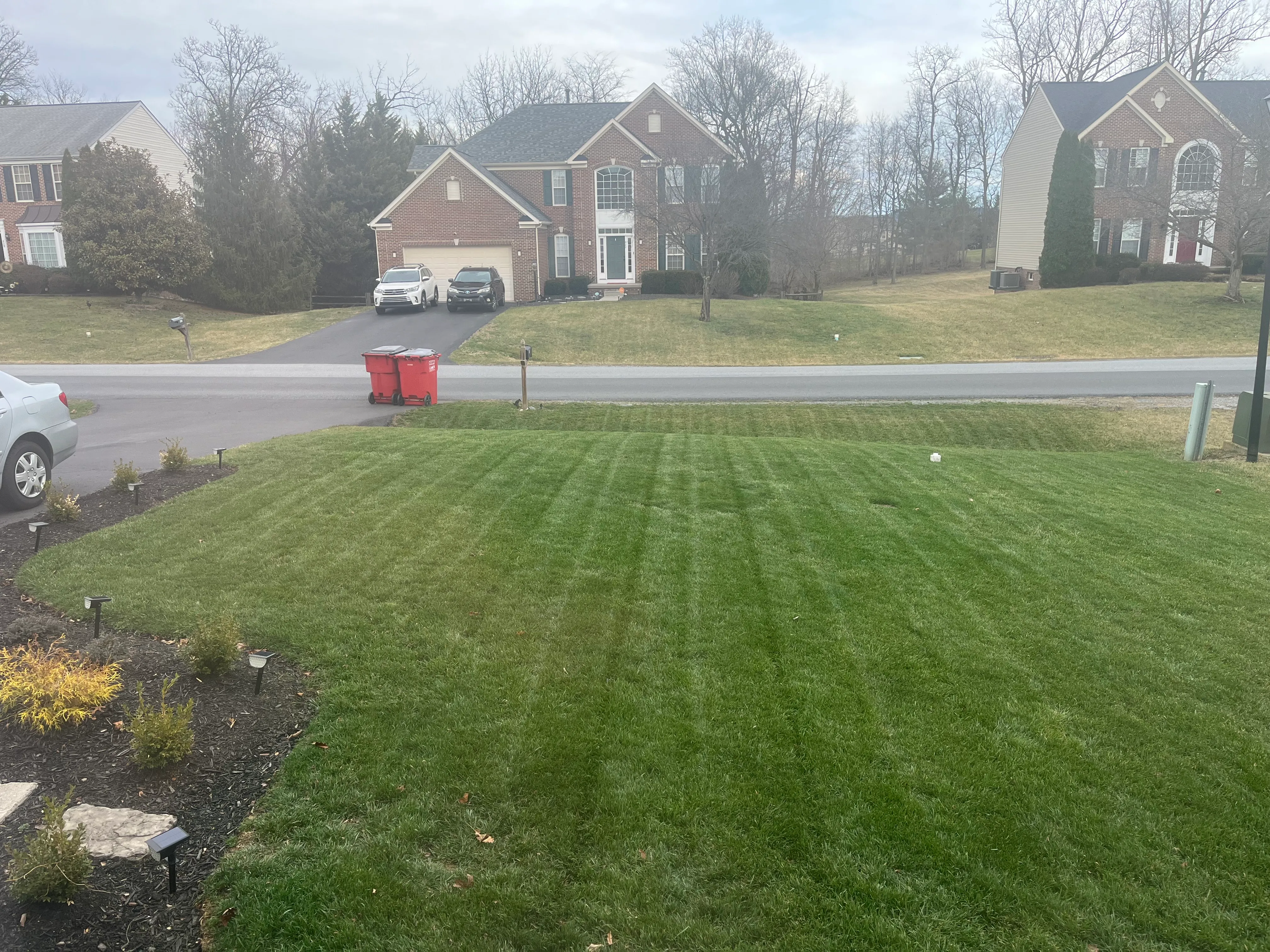 A residential front lawn freshly mowed into clean, even stripes.