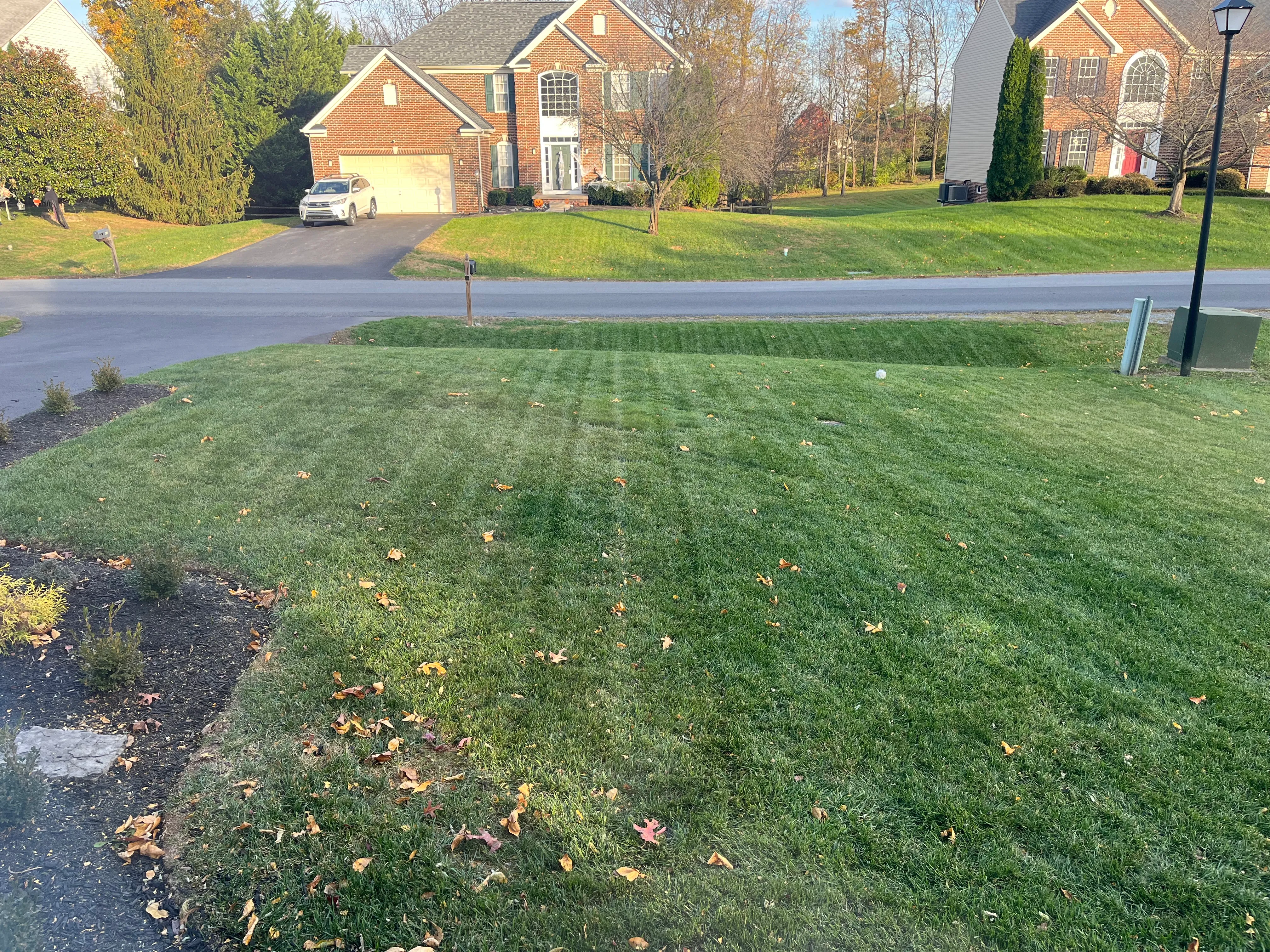A neatly mowed front lawn striped by a recent cut, framed by autumn trees.