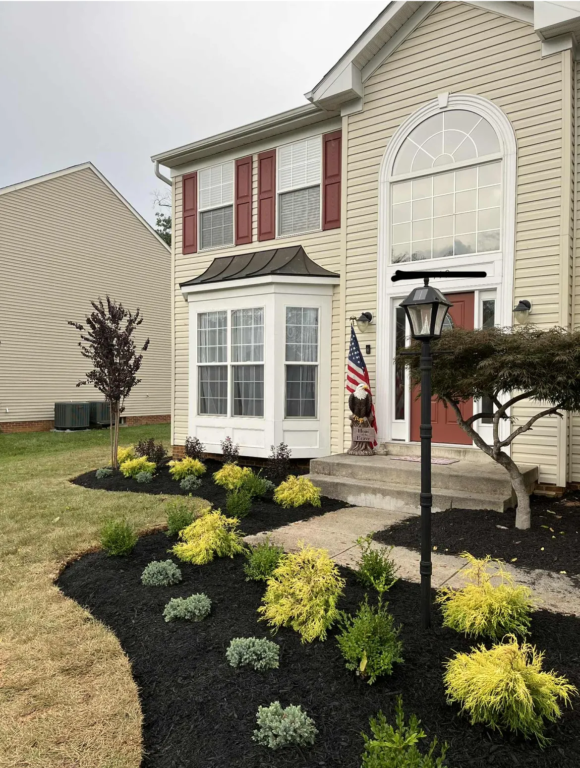 A new foundation border with a Japanese maple, a dark-leafed Black Diamond crepe myrtle, and golden cypress shrubs in fresh black mulch at the front of a two-story home.