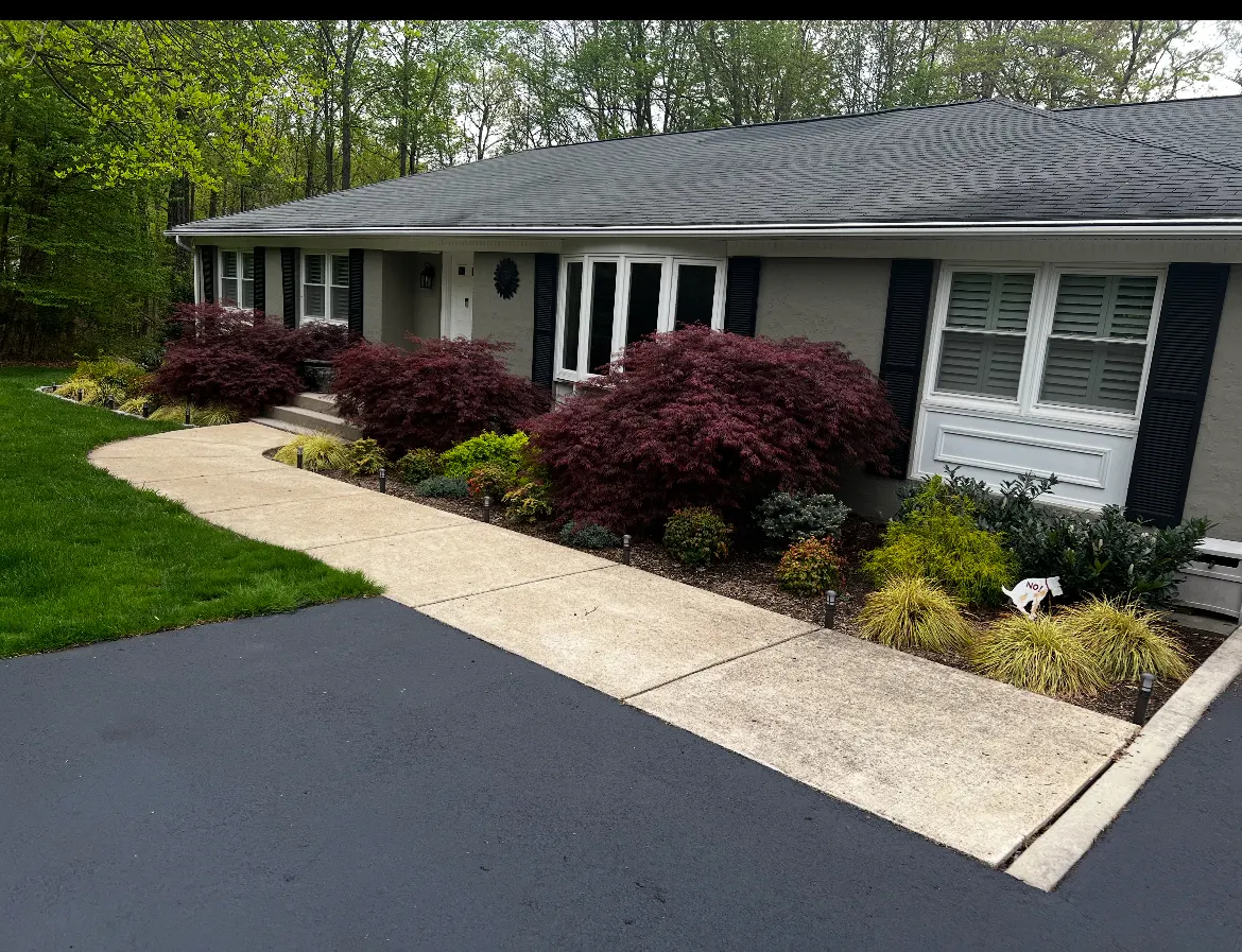 Layered foundation beds around mature red Japanese maples and ornamental grasses, finished with fresh dark hardwood mulch.