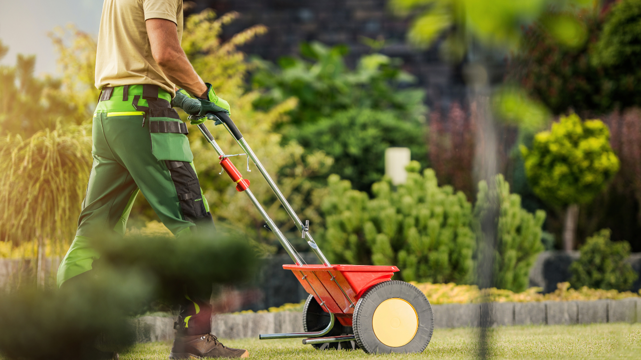 Lawn Fertilization
