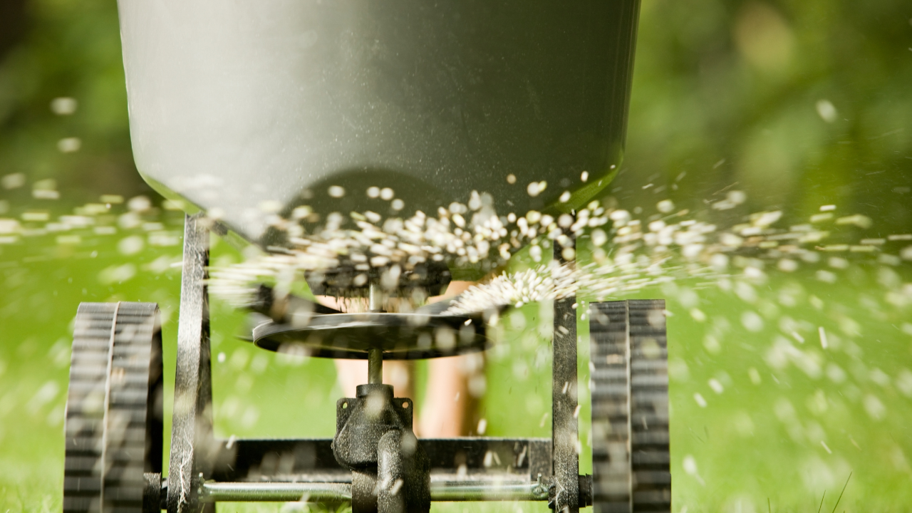 Lawn Fertilization